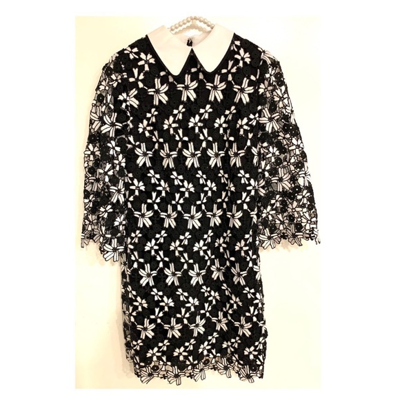 Alice + Olivia Debra Oversized Collar Dress - Picture 2 of 6